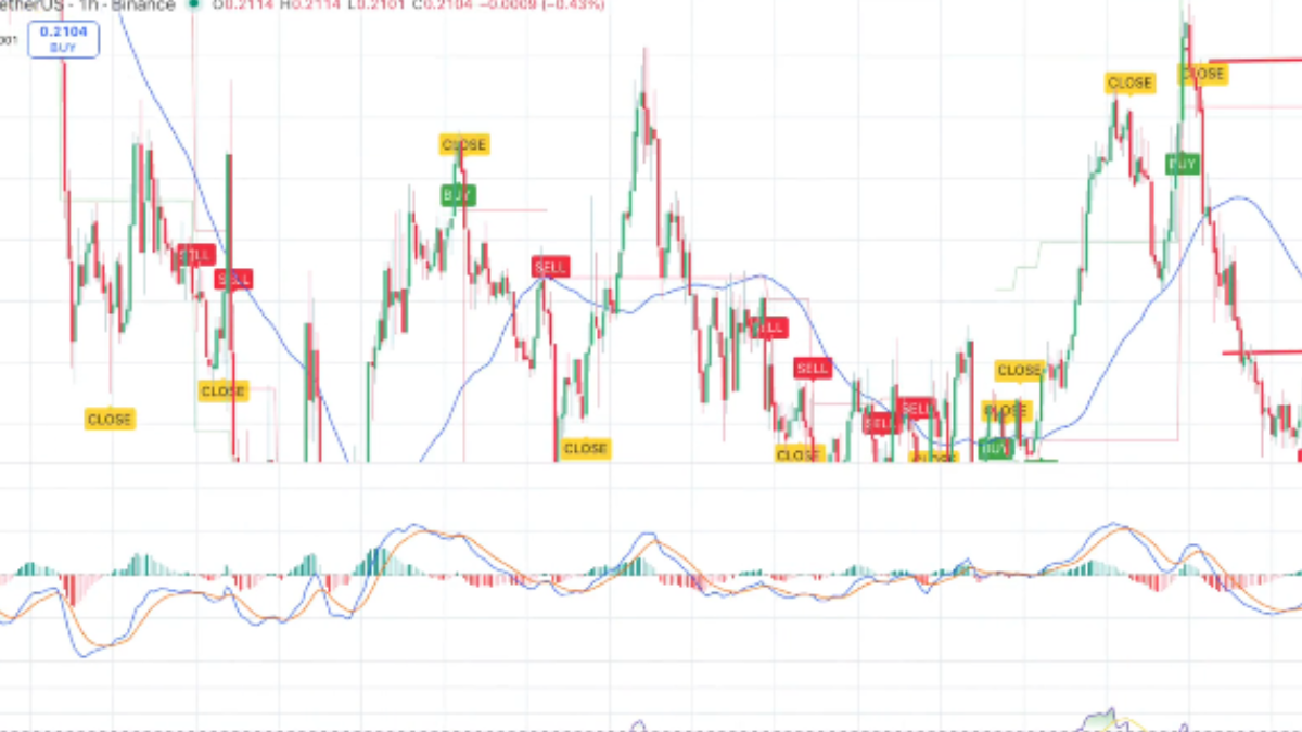 Exchanges preview image (pic6.png)